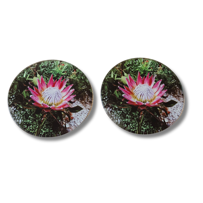 Protea South African National Flower Glass Coasters, Round, 10 Centimetres, 2 Pack, with rubber feet