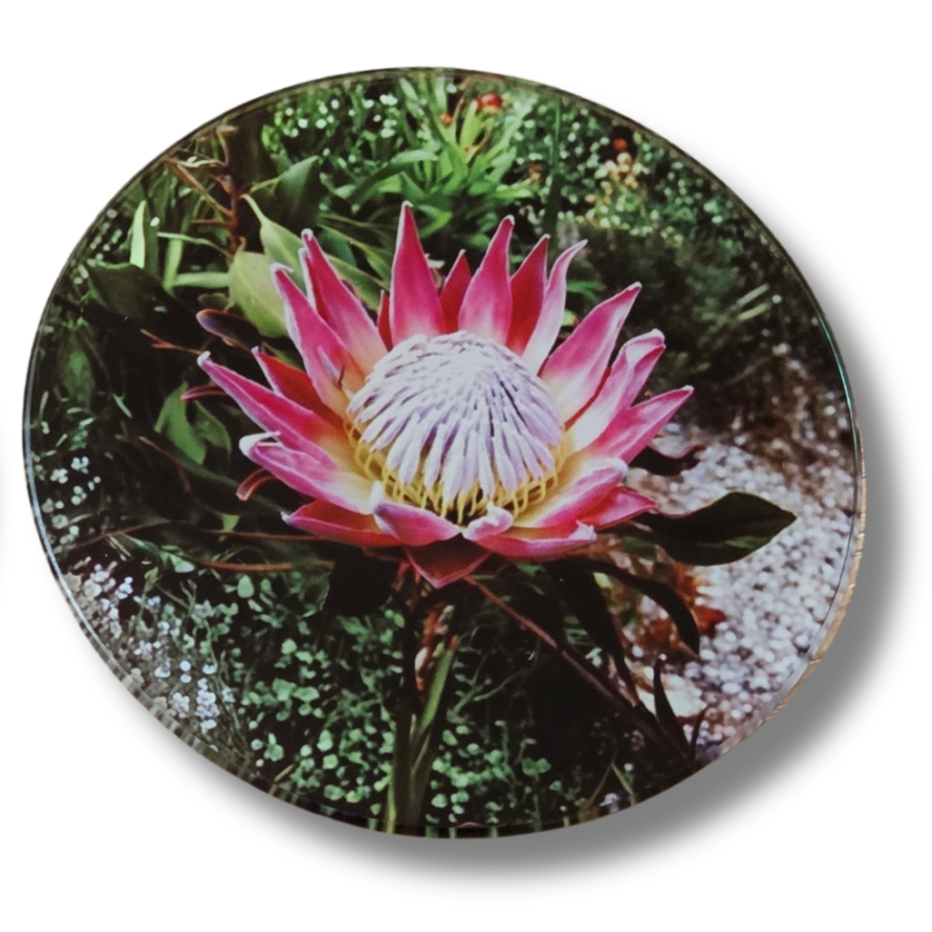 Glass Coasters - Square or Round