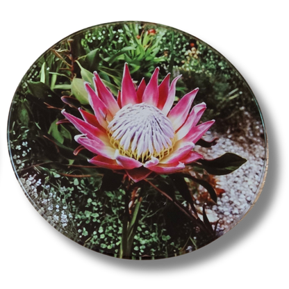 Glass Coasters - Square or Round