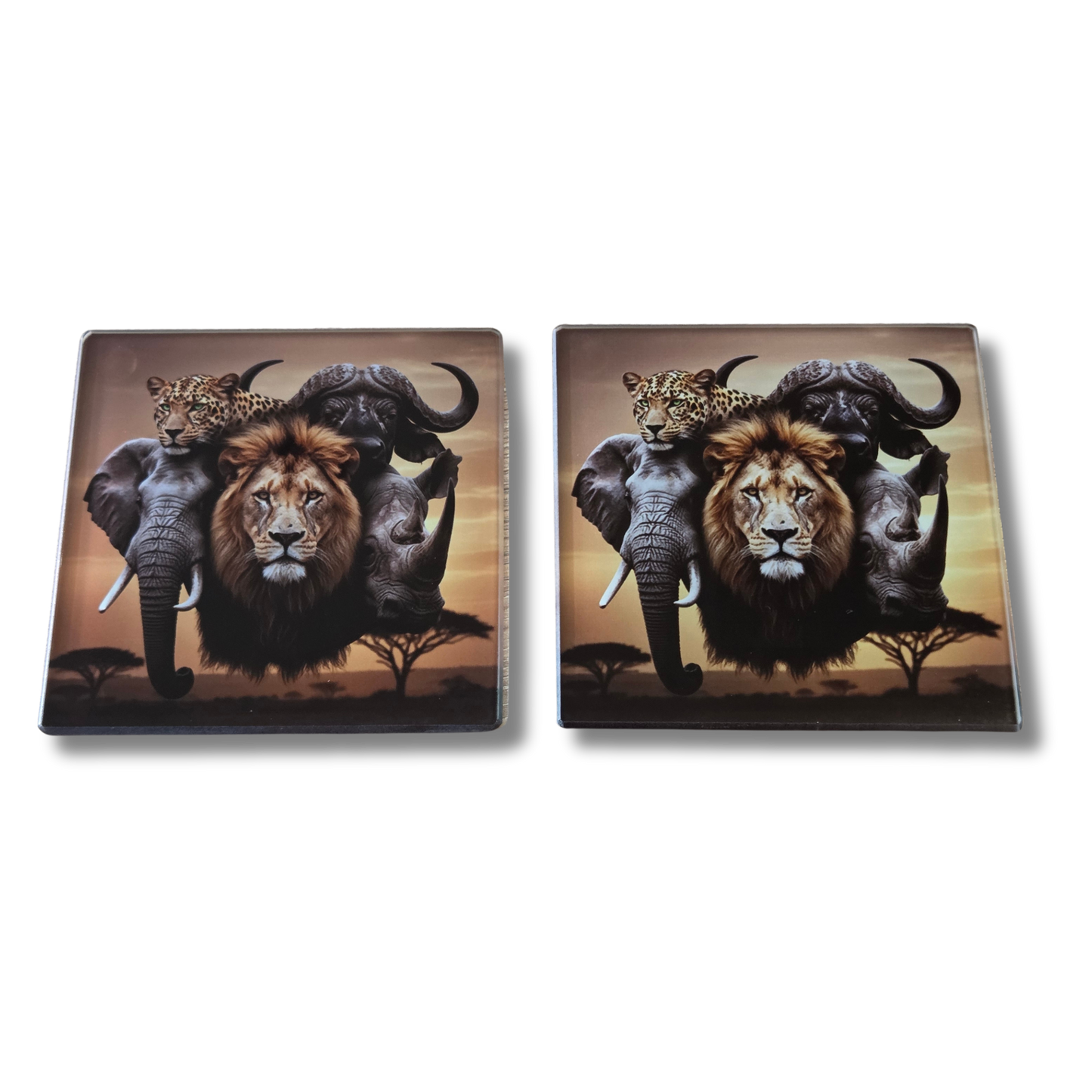 African Big 5 five Glass Coasters, Square, 10 Centimetres, 2 Pack, with rubber feet