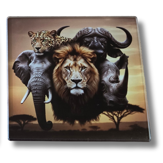 African Big 5 five Glass Coasters, Square, 10 Centimetres, 2 Pack, with rubber feet