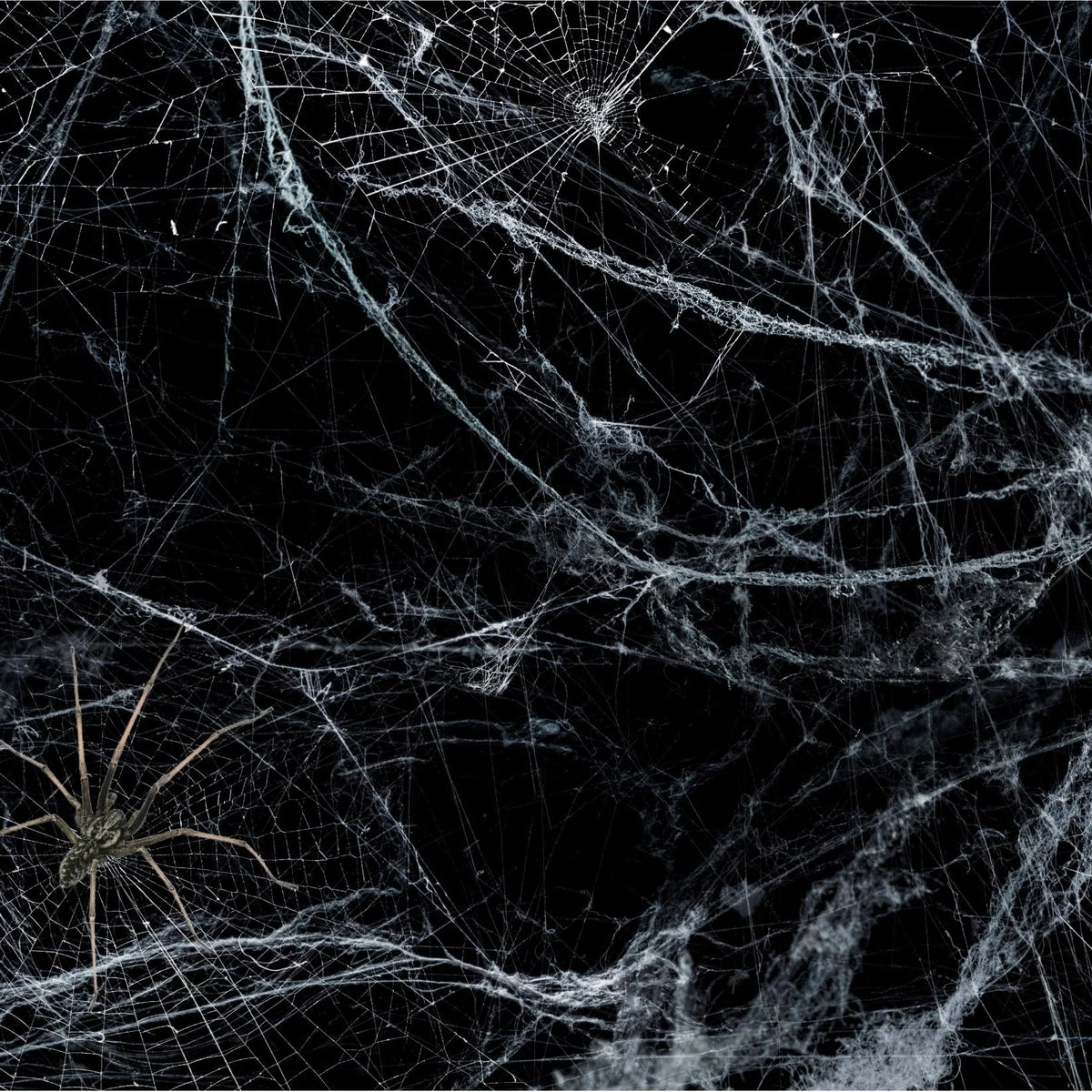 IE The Spider's Lair
