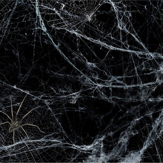 IE The Spider's Lair