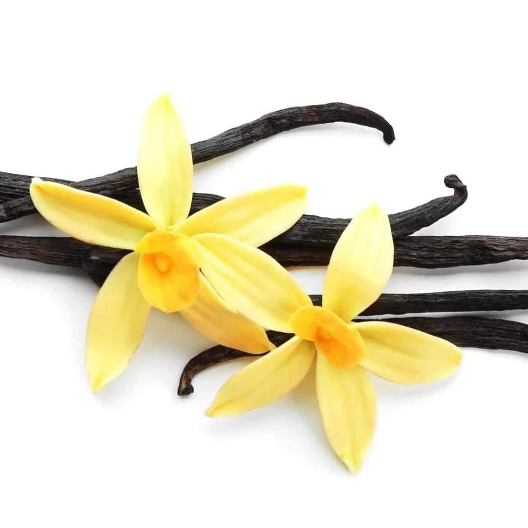 Vanilla